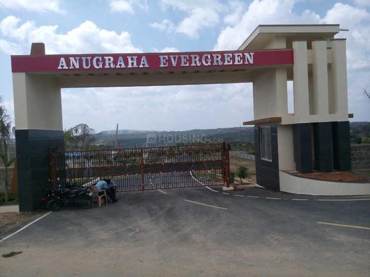 ANUGRAHA EVERGREEN